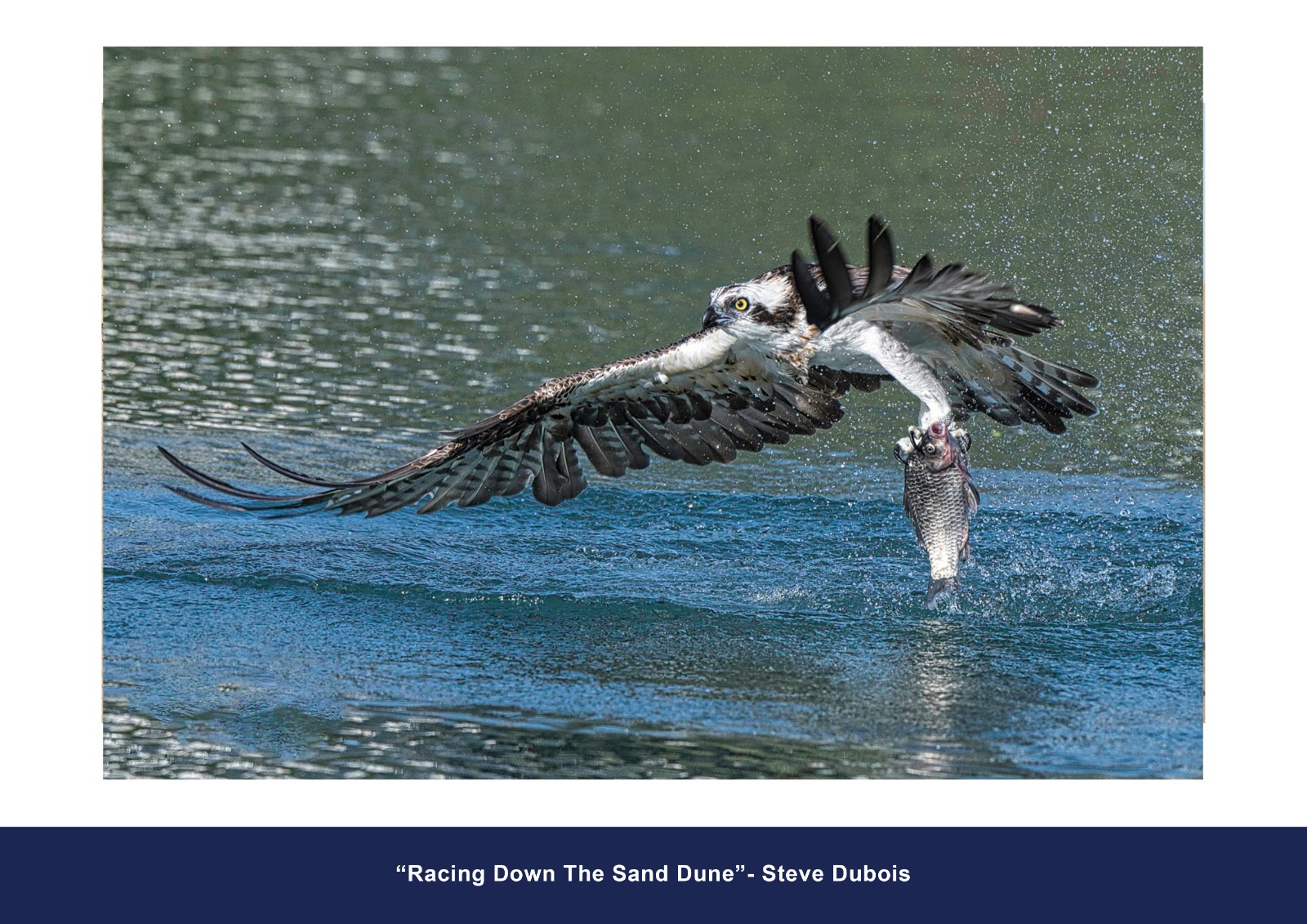 Color Accepted Entry