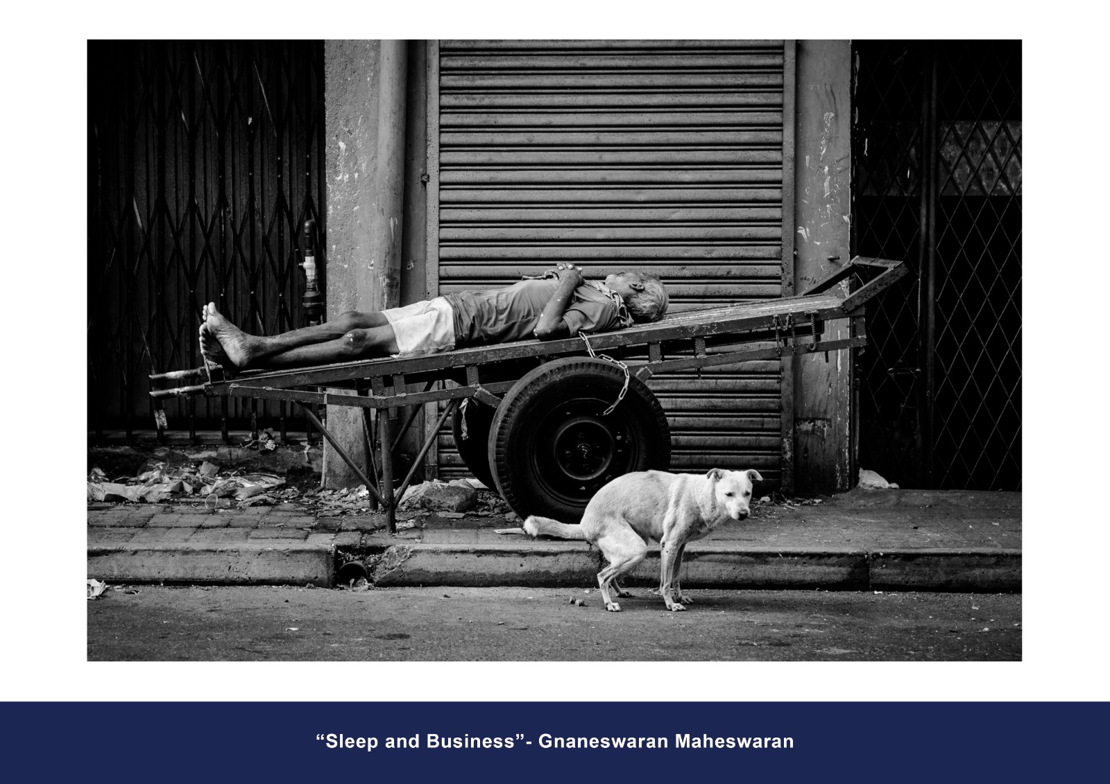 Monochrome Accepted Entry