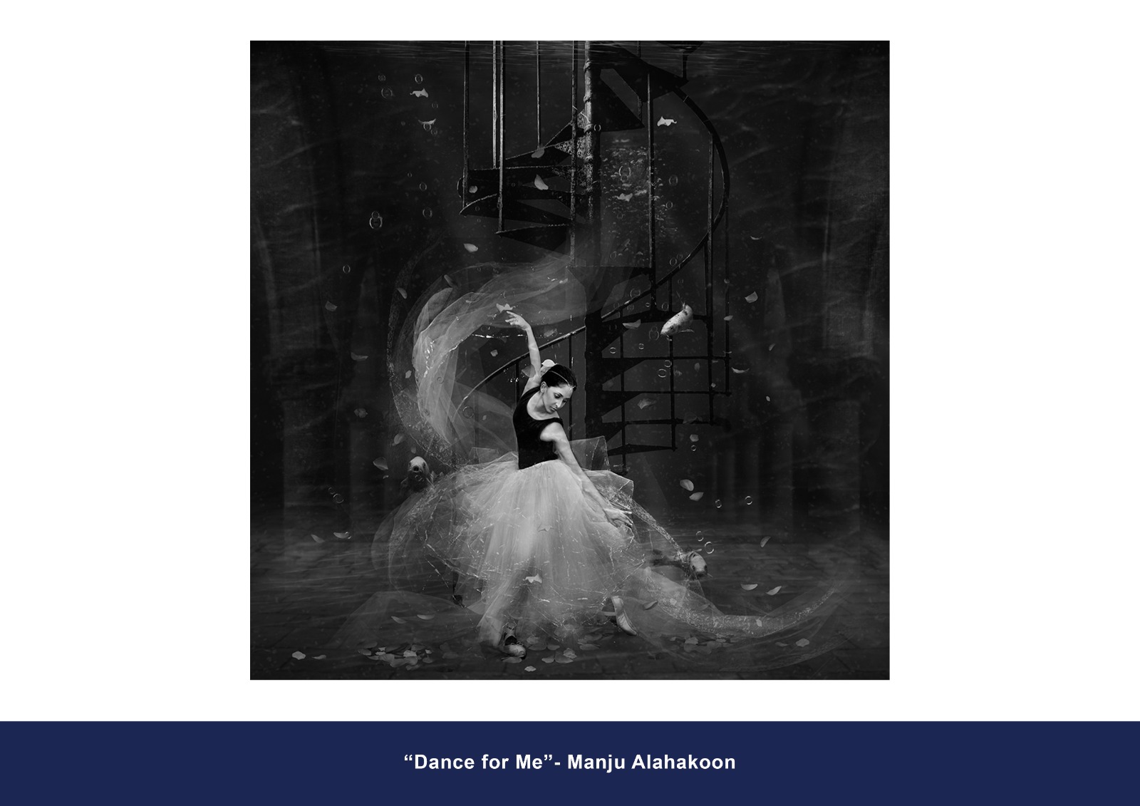 Monochrome Accepted Entry