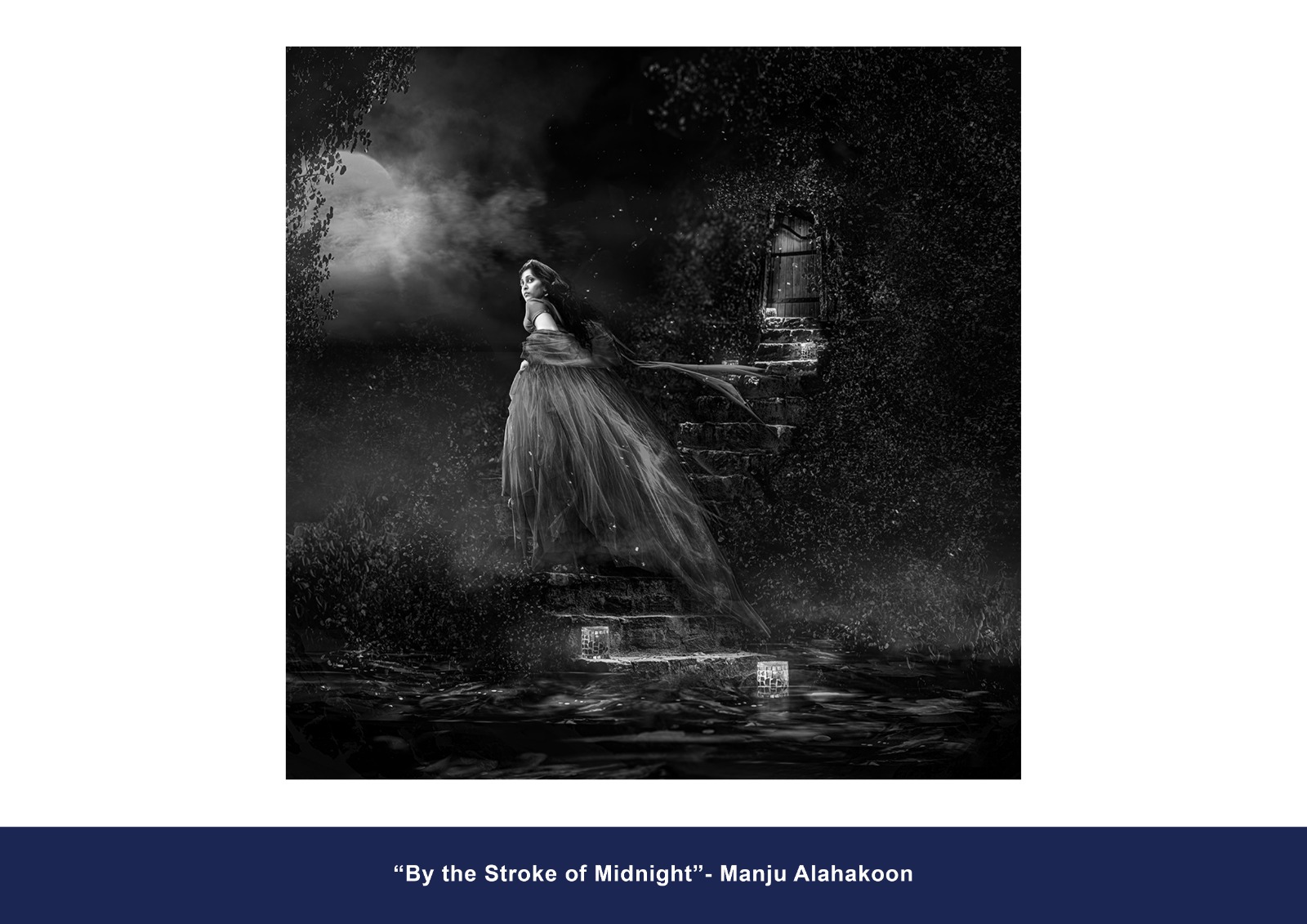 Monochrome Accepted Entry