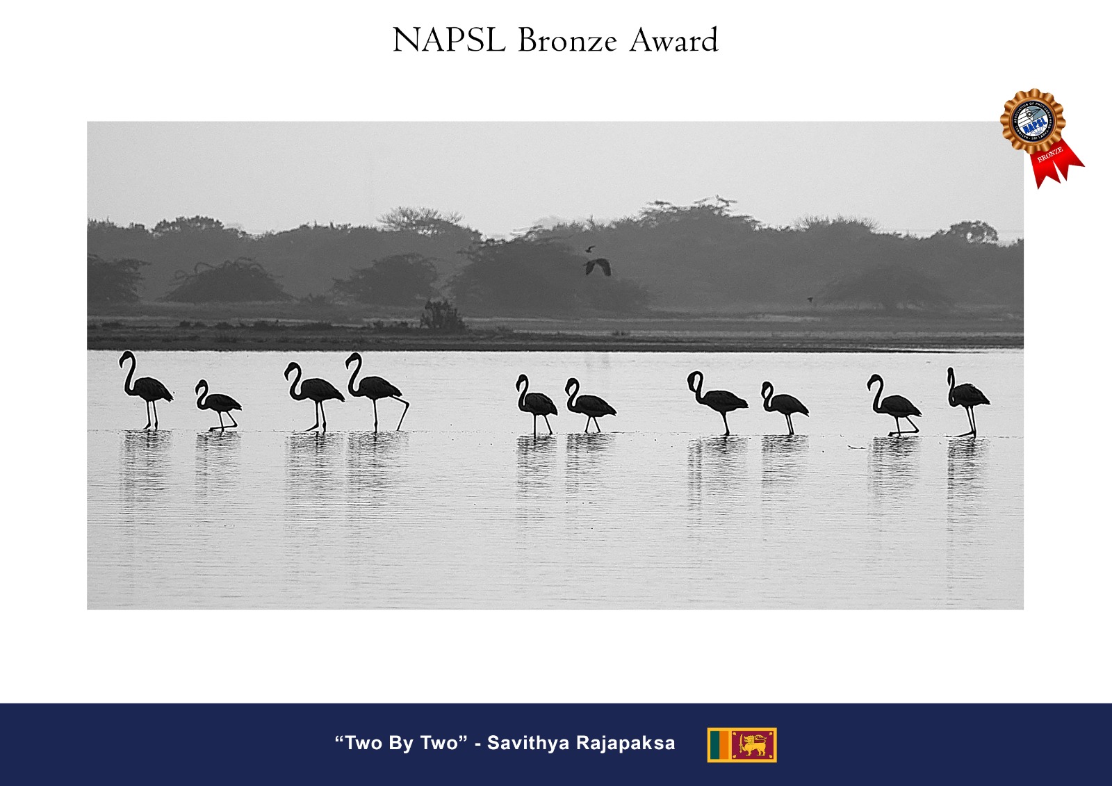 Monochrome Medal Winner